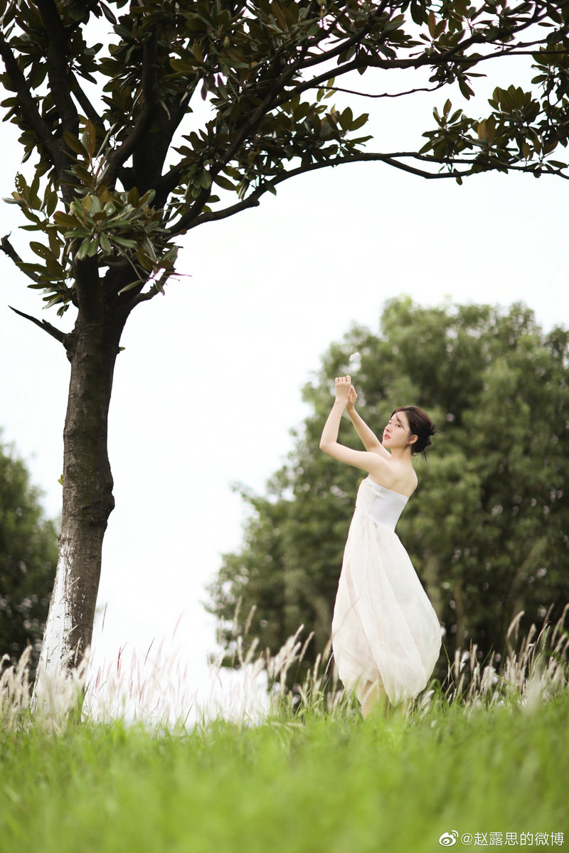 吴建豪流星花园演的谁