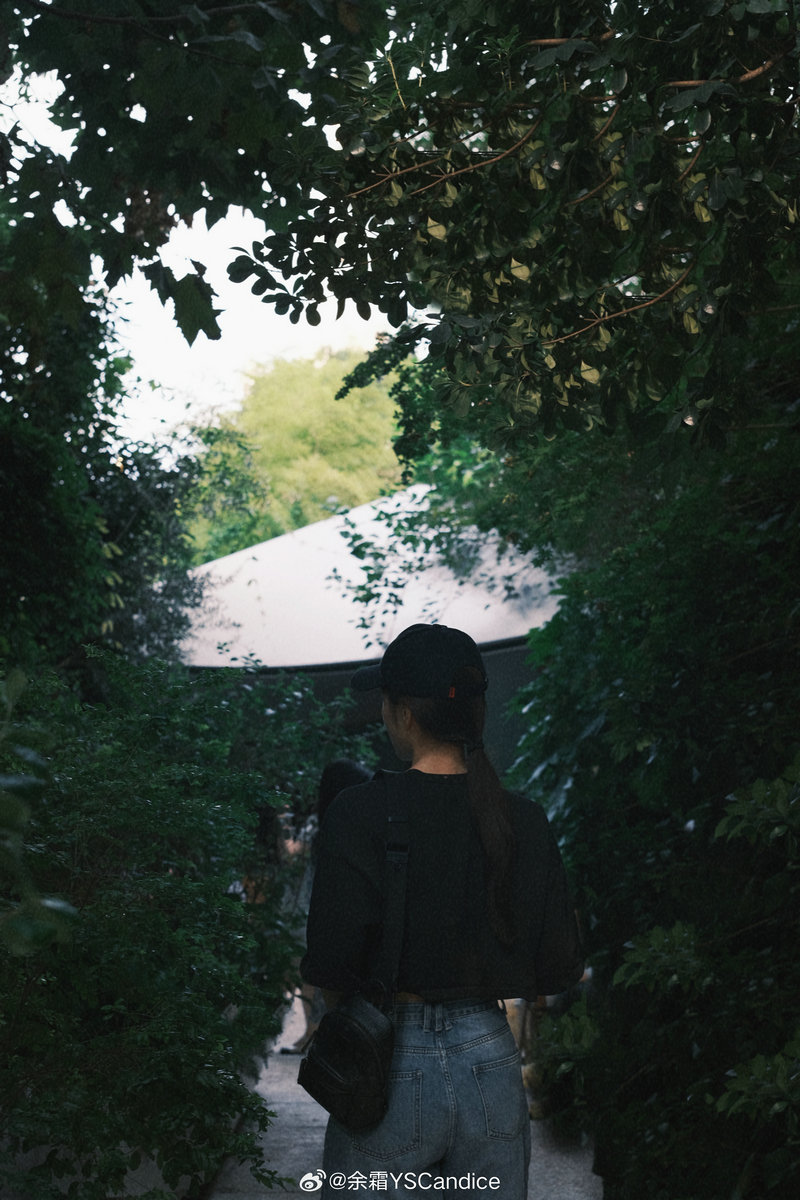 小杨哥和沫沫什么关系