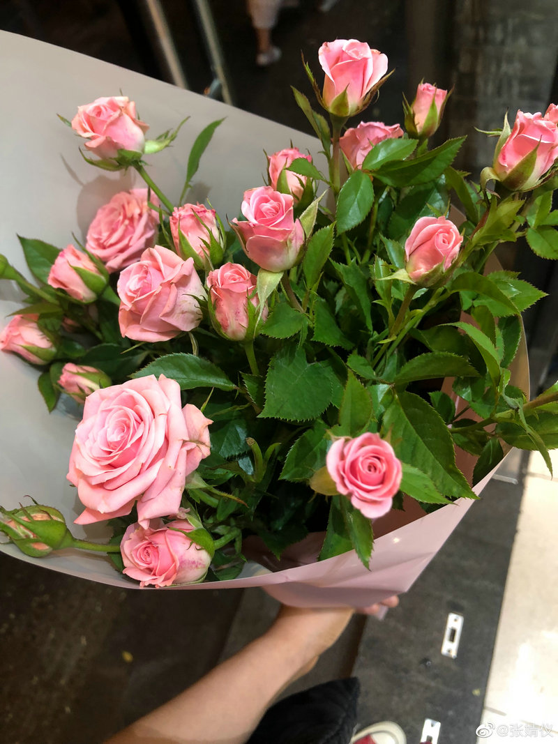 韩国男星李准基 韩国男演员李准基都主演过什么电视剧