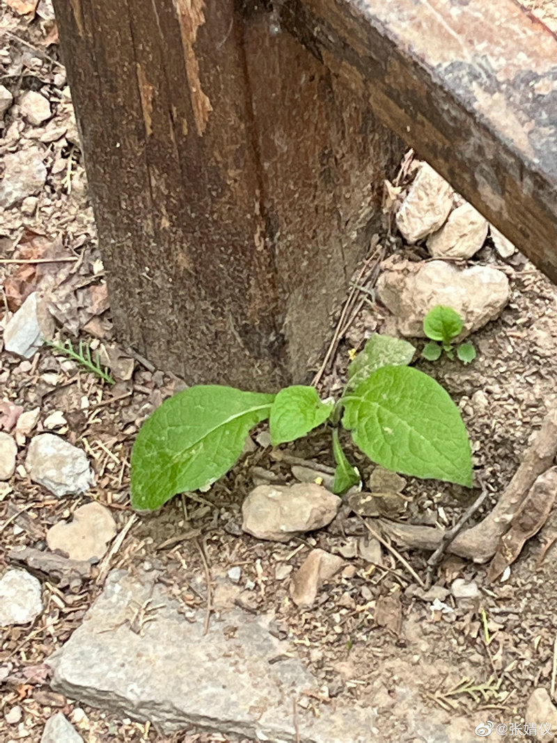 林正英电影鬼片大全国语版