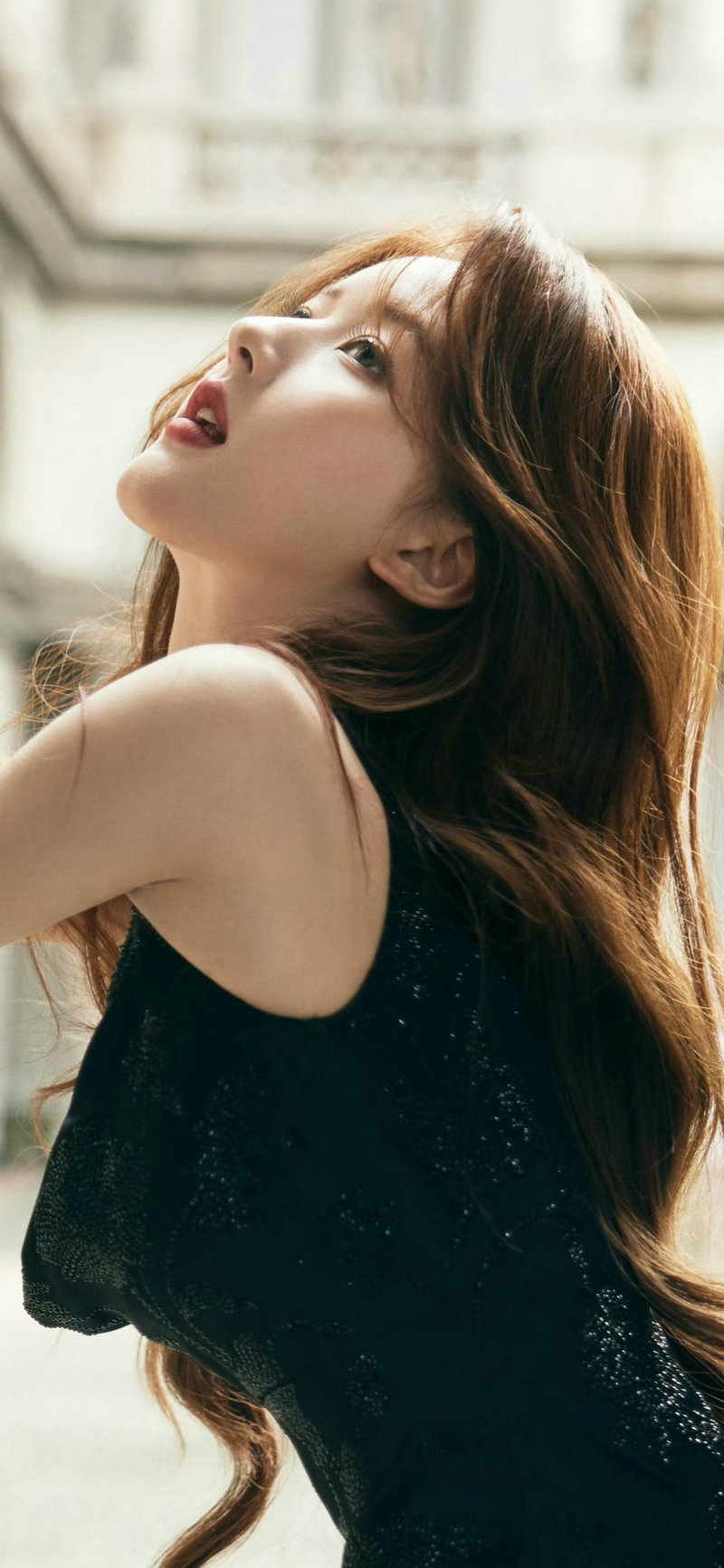 动物世界狮子吃大象