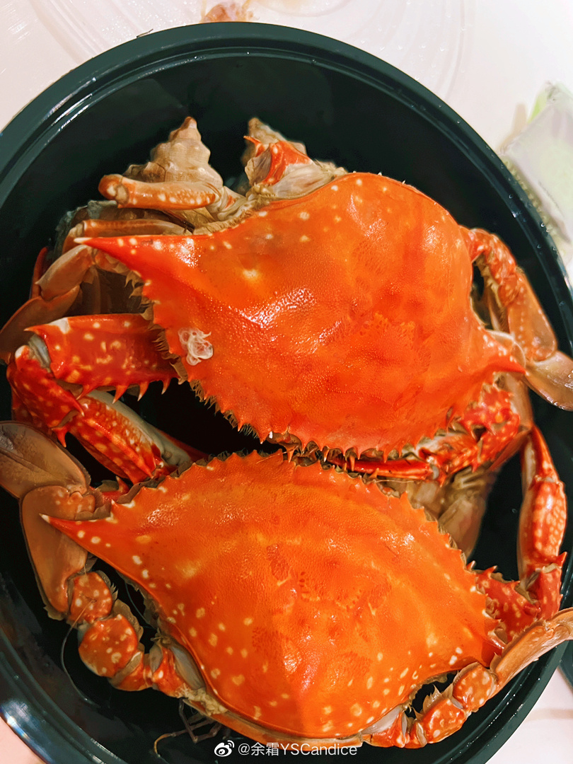 陈冠希道歉声明(陈冠希道歉声明是真的吗)