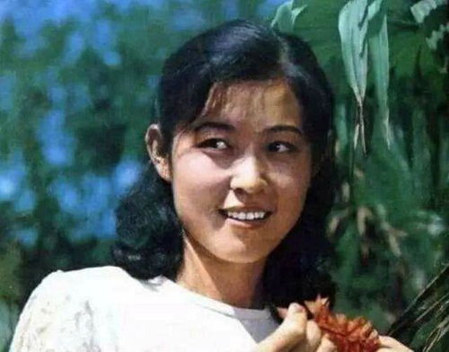 猎场演员表及人物介绍