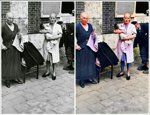 孤岛惊魂2结局孤岛惊魂2结局有几个