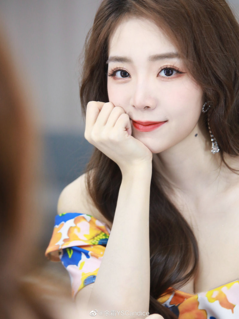 车晓主演的电视剧