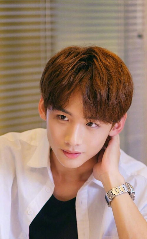 供销社是什么性质的单位