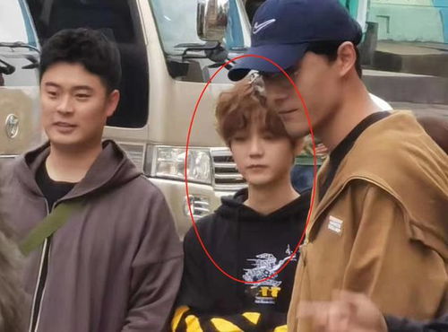 谢娜个人资料简介及身高