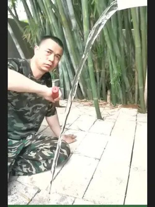 中国化工集团公司