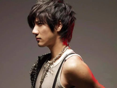 延禧攻略高贵妃扮演者